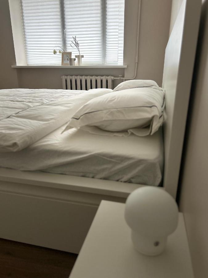 Skandi Appartments In Saldus City Center Zewnętrze zdjęcie