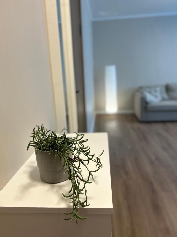 Skandi Appartments In Saldus City Center Zewnętrze zdjęcie