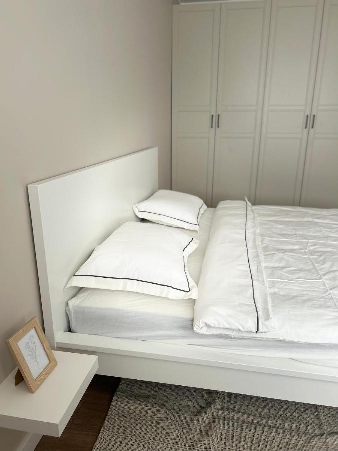Skandi Appartments In Saldus City Center Zewnętrze zdjęcie