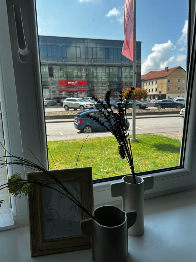 Skandi Appartments In Saldus City Center Zewnętrze zdjęcie